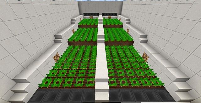 Potato Plantation [Карта]