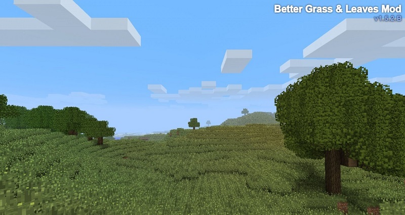 Better Grass and Leaves [1.6.4]