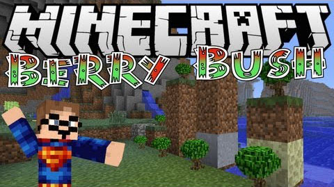 BerryBush [1.6.4]