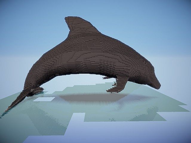Dolphin [Карта]