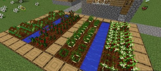 Hunger Overhaul [1.6.4]