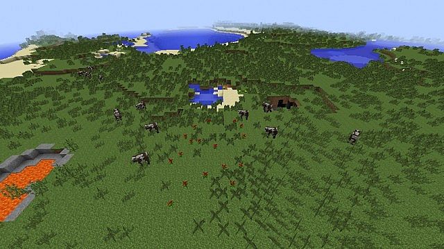 Survival Island [Карта]