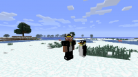 Rancraft Penguins 1.4.7