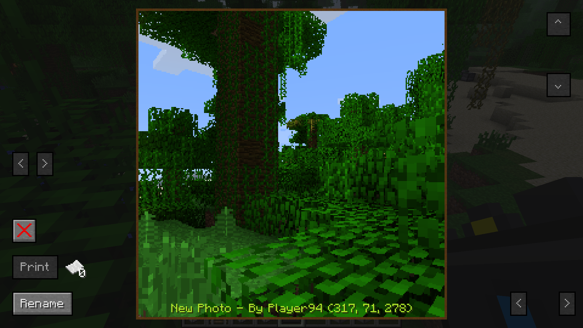 CameraCraft [1.4.5, 1.4.7]